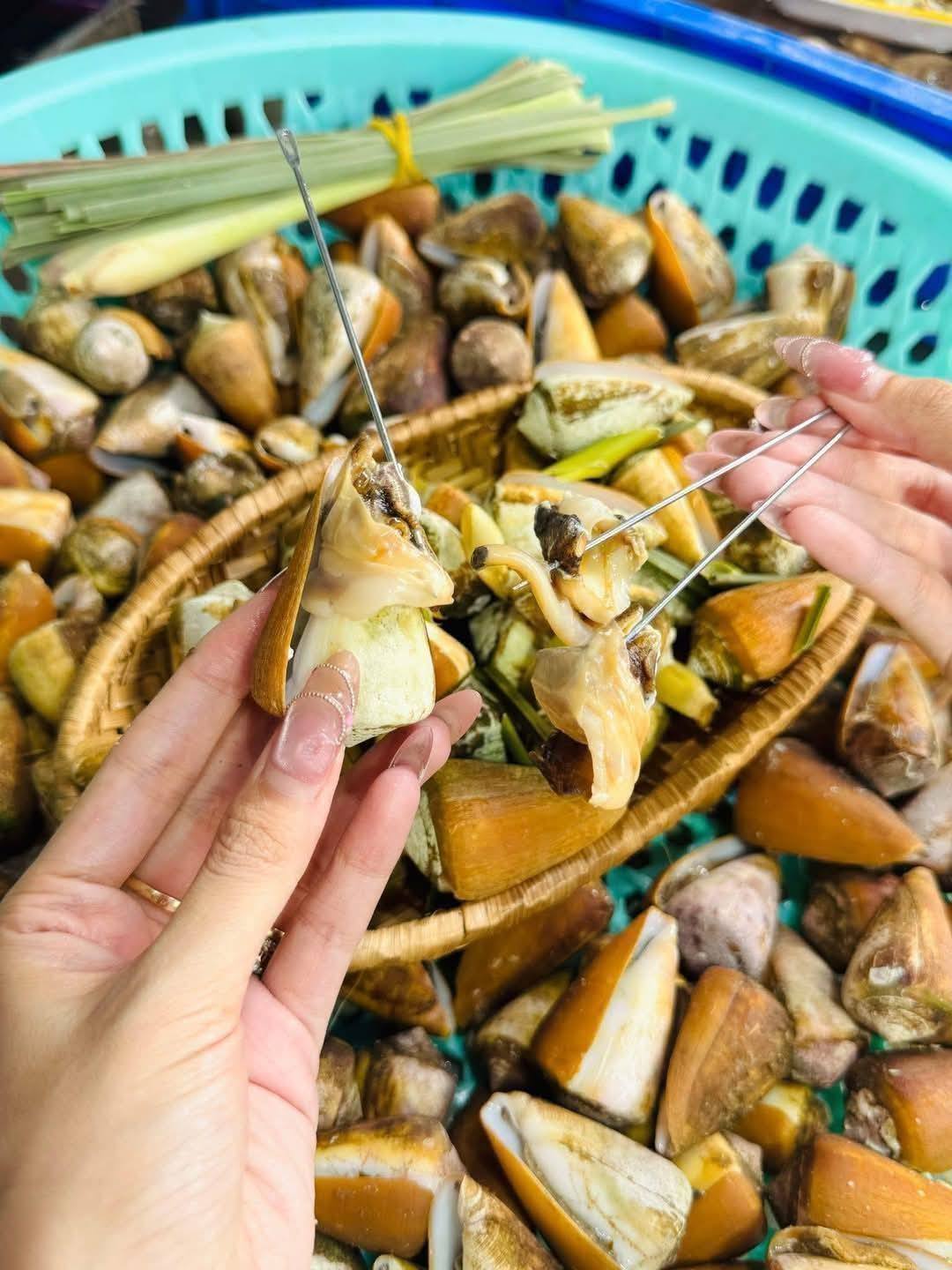 oc nhay hai san dong lanh gia si