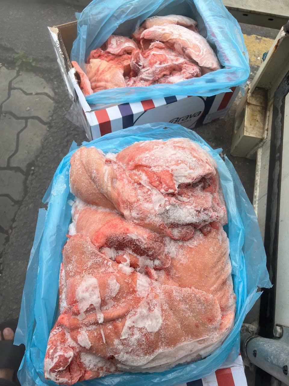 nong heo co da costa dong lanh nhap khau