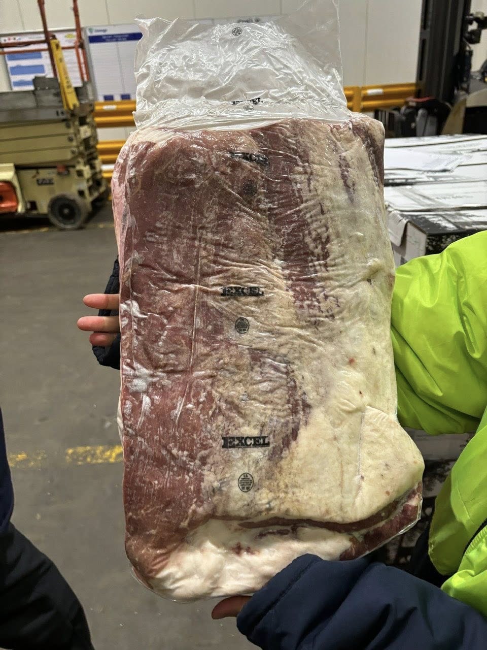 ba chi bo excel my gia si