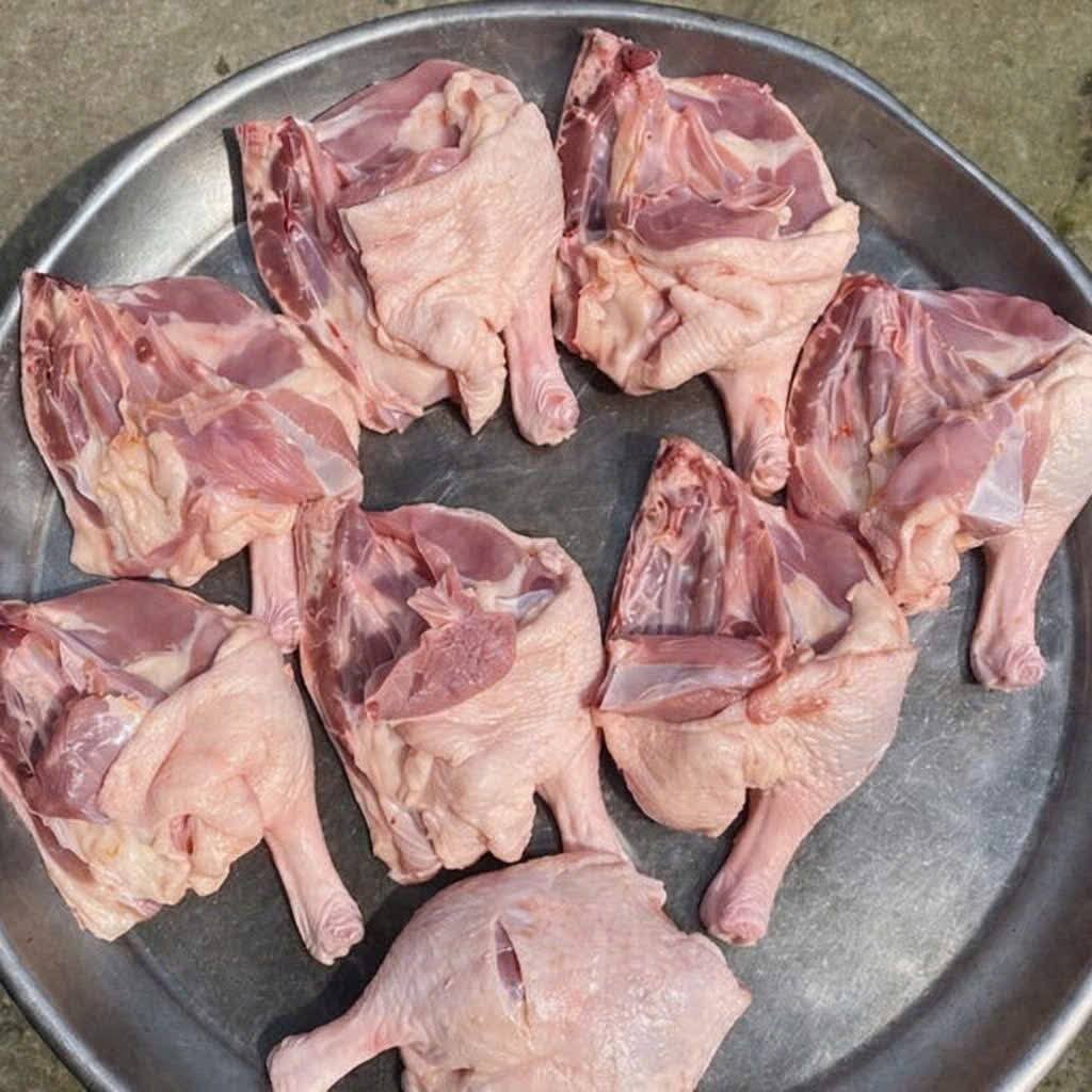 dui vit dong lanh gia si tphcm