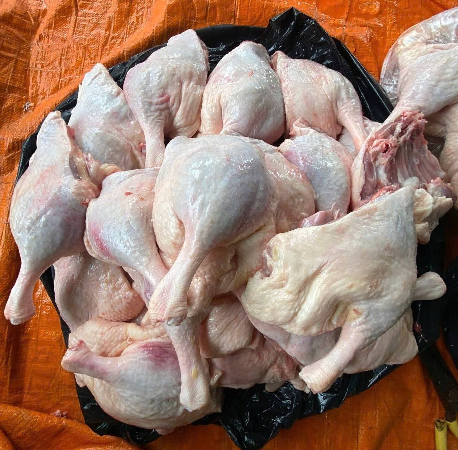 ban dui vit dong lanh gia si