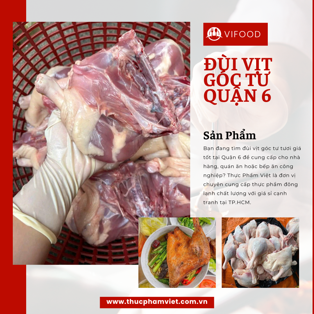 dui vit goc tu dong lanh quan 6