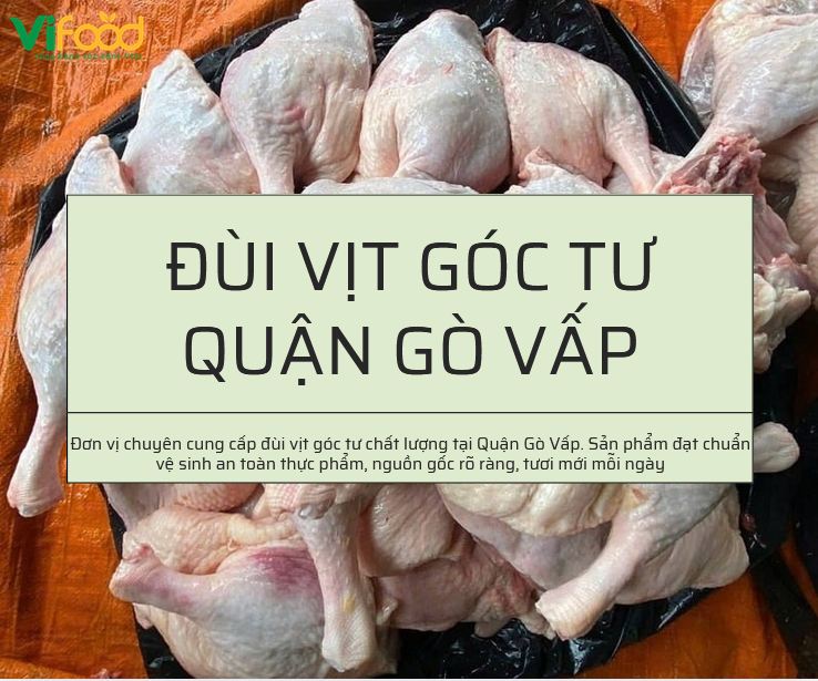 dui vit goc tu dong lanh go vap
