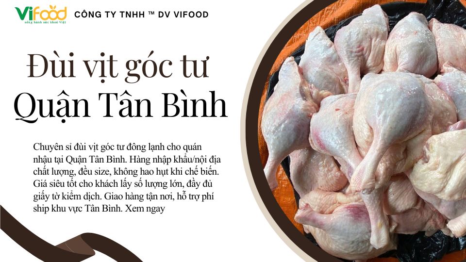 dui vit goc tu dong lanh tan binh