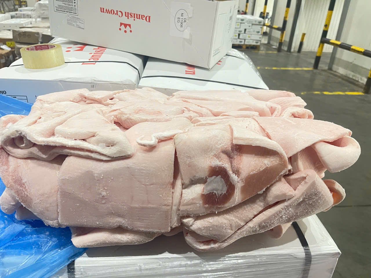 mo heo dong lanh ca mau