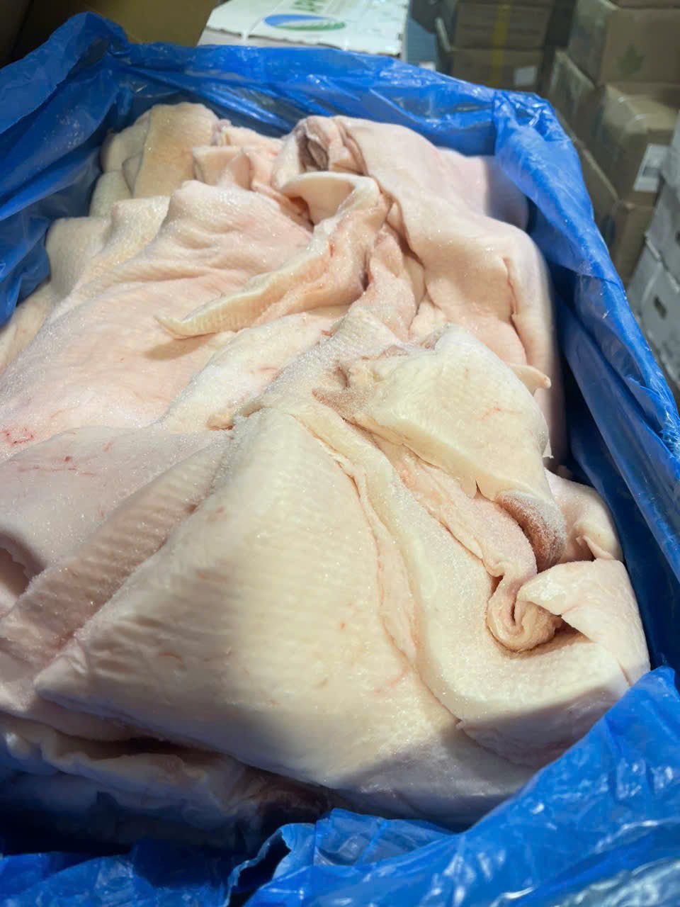 mo heo dong lanh dong thap