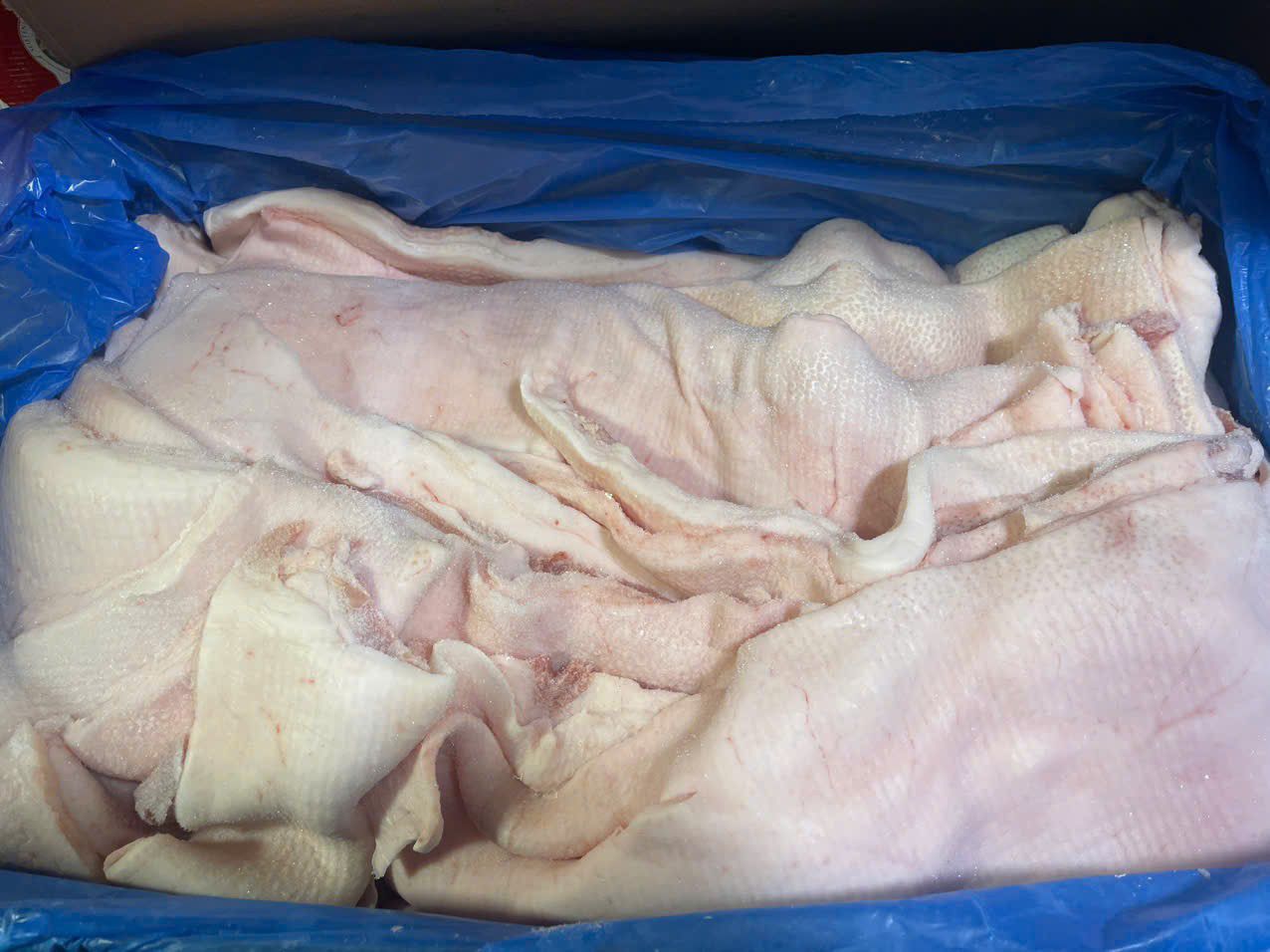 mo heo dong lanh can tho