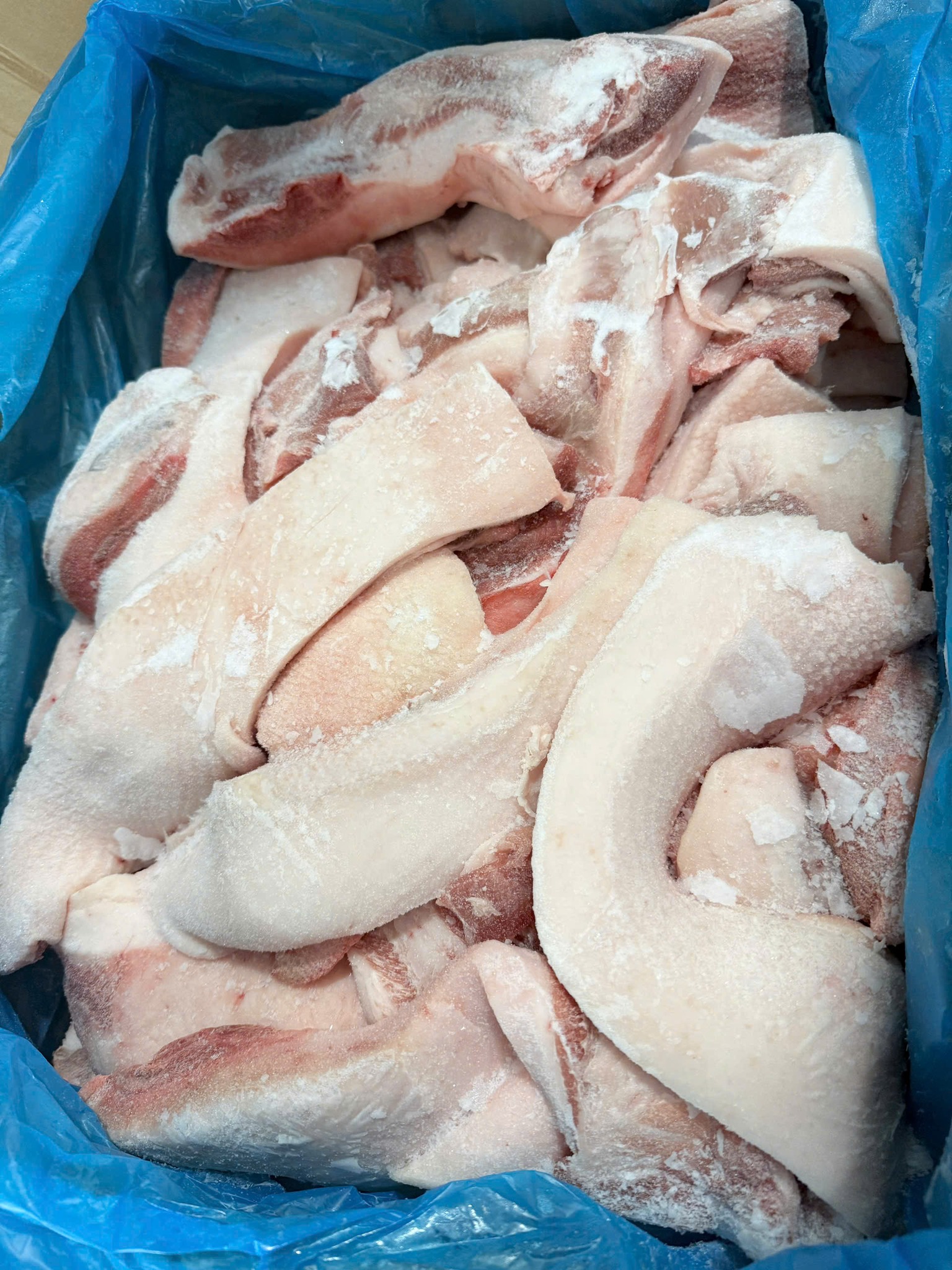 mo heo dong lanh tien giang