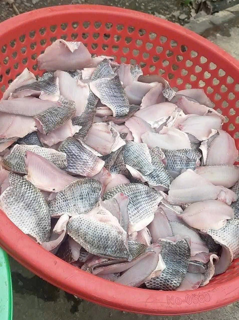 ca ro phi file dong lanh