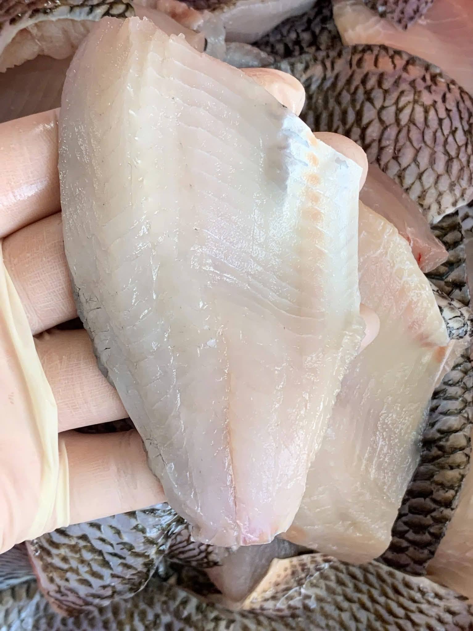 ca ro dong file dong lanh