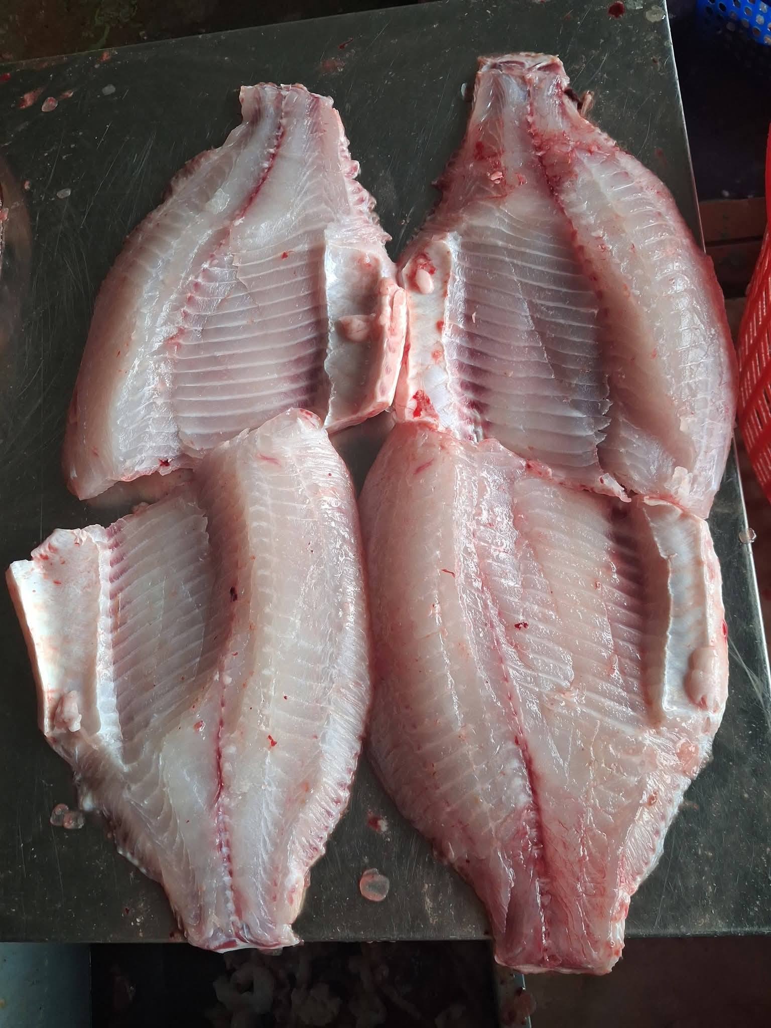 thit ca ro phi file dong lanh