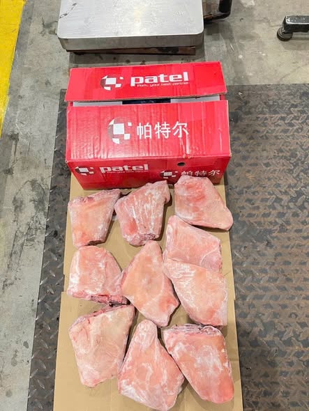 khoanh bap heo patel bap heo dong lanh nhap khau