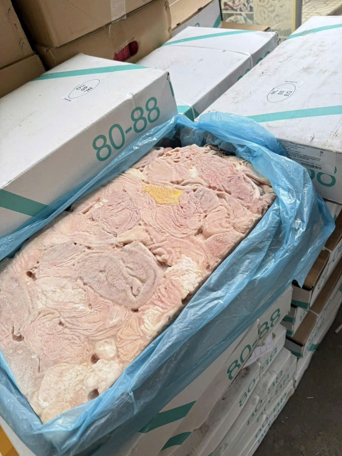 bao tu heo 8088 dong lanh nhap khau