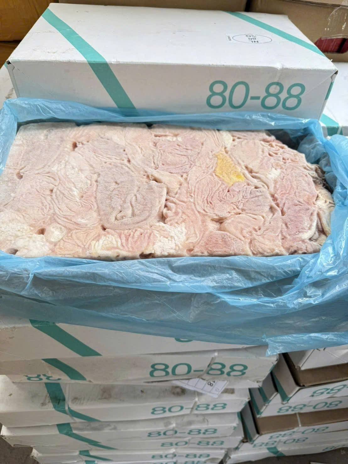 bao tu heo nhap khau dong lanh chat luong