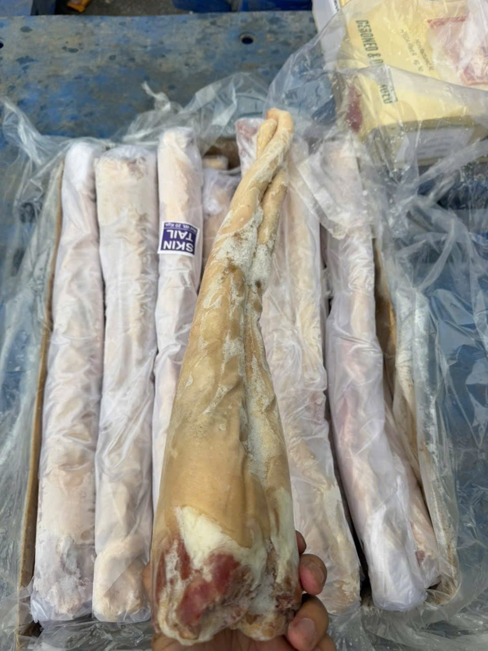 duoi trau nhap khau chat luong cao