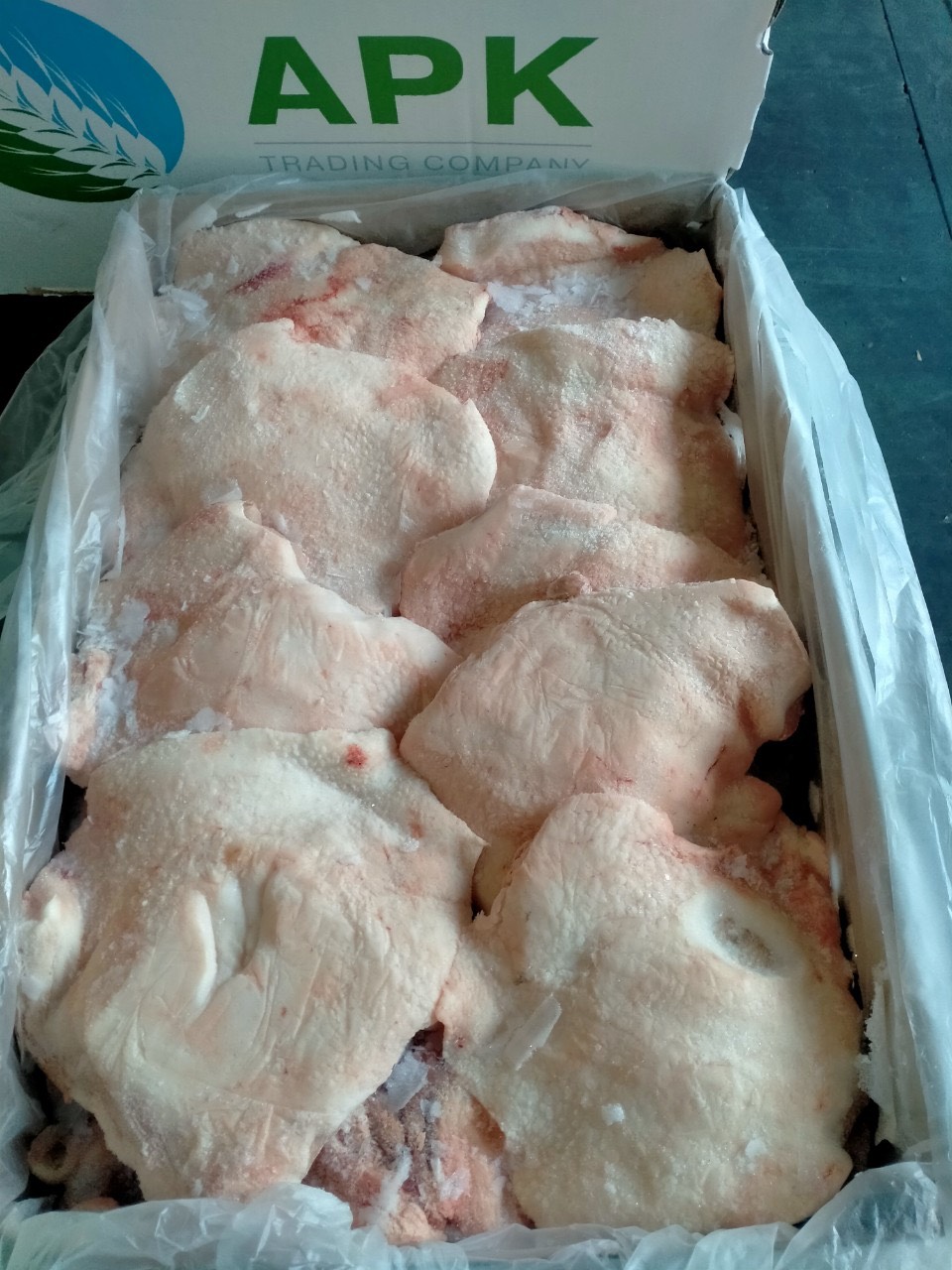 duoi trau dong lanh ammar gia si