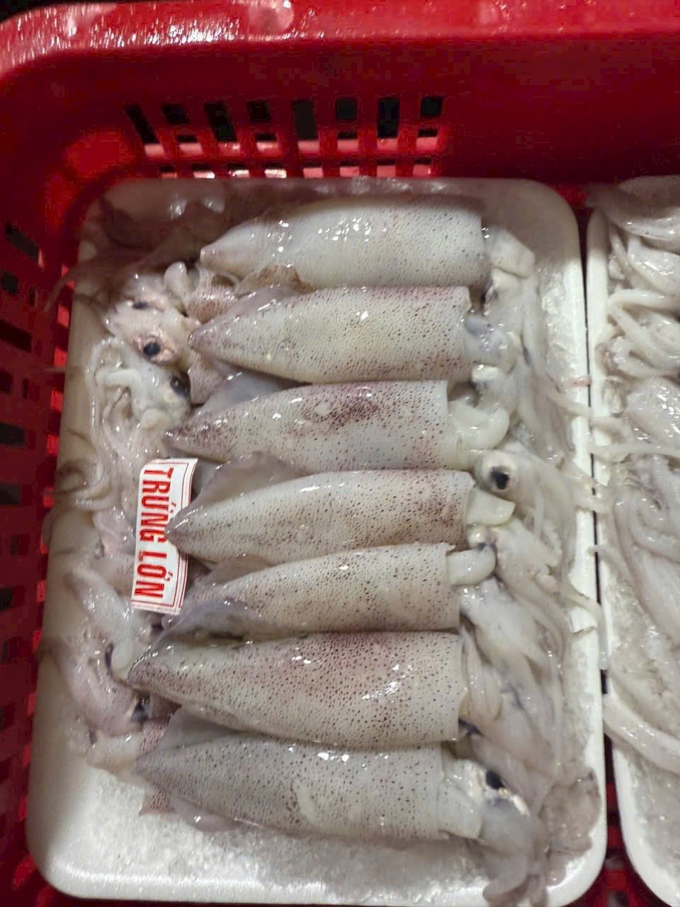 muc trung tu nhien size 15 20 dong lanh