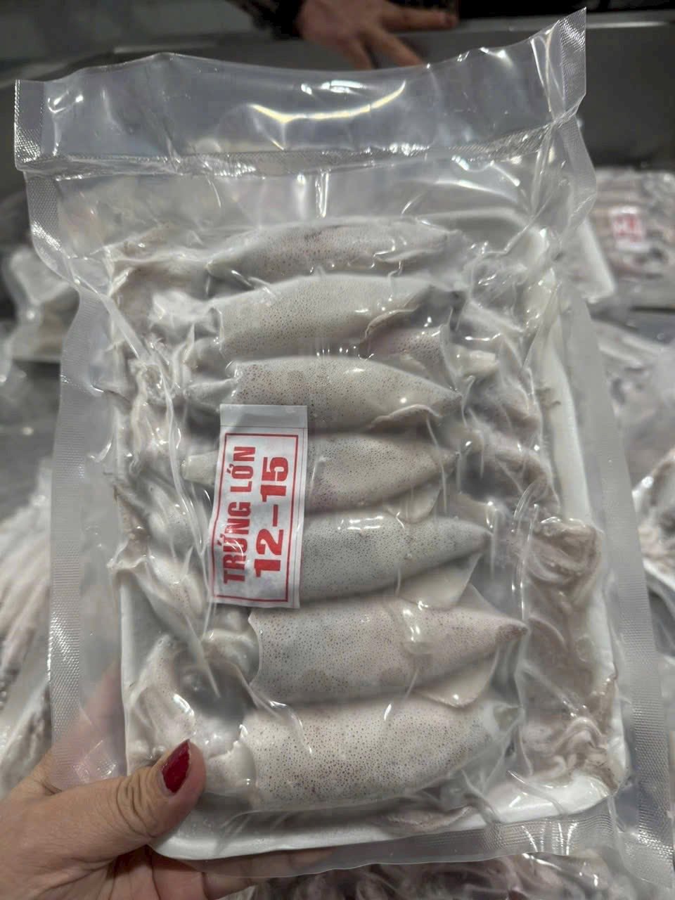 muc trung dong lanh size 15 20 net 7 gia si