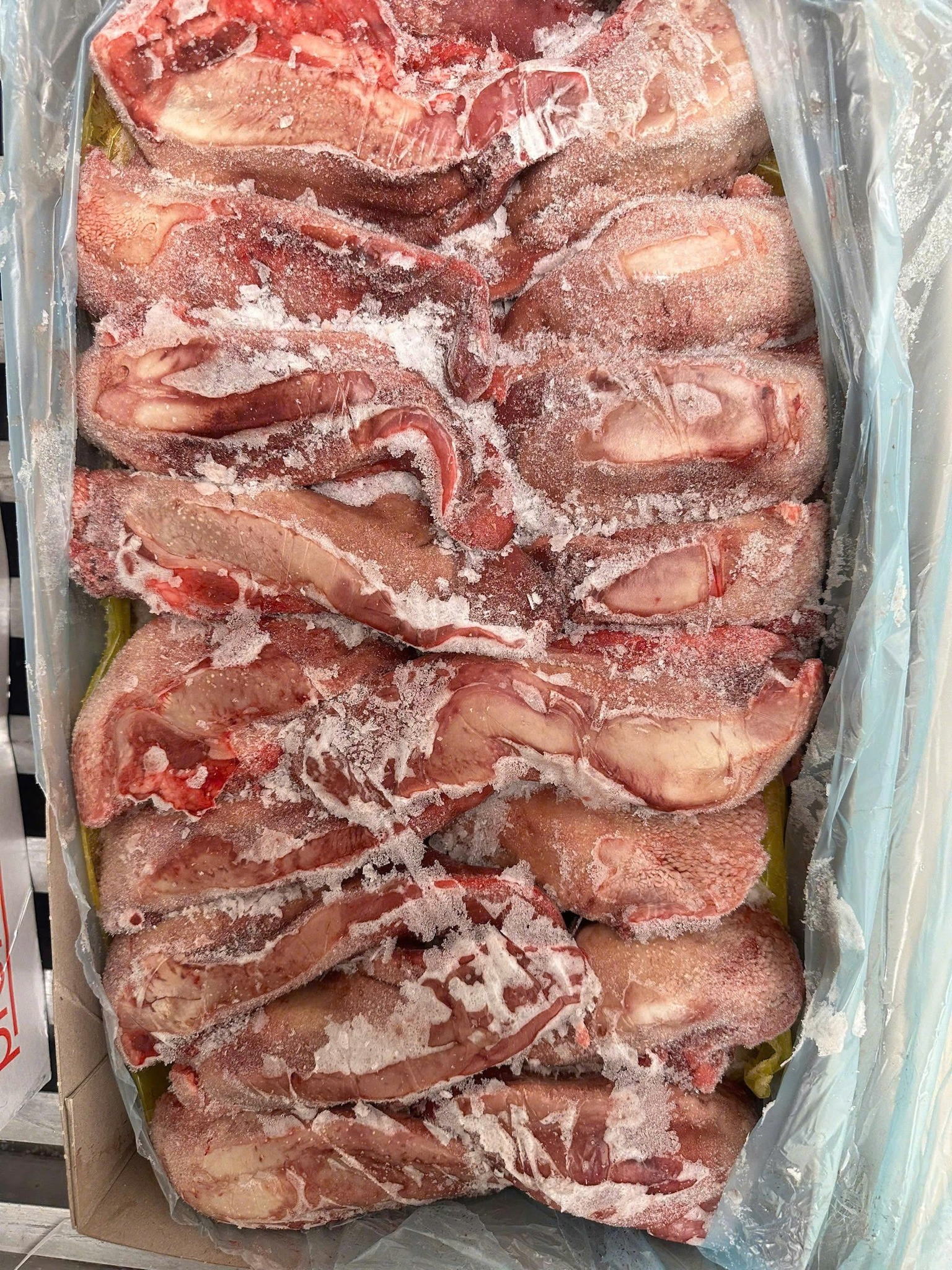 luoi heo profood dong lanh nhap khau