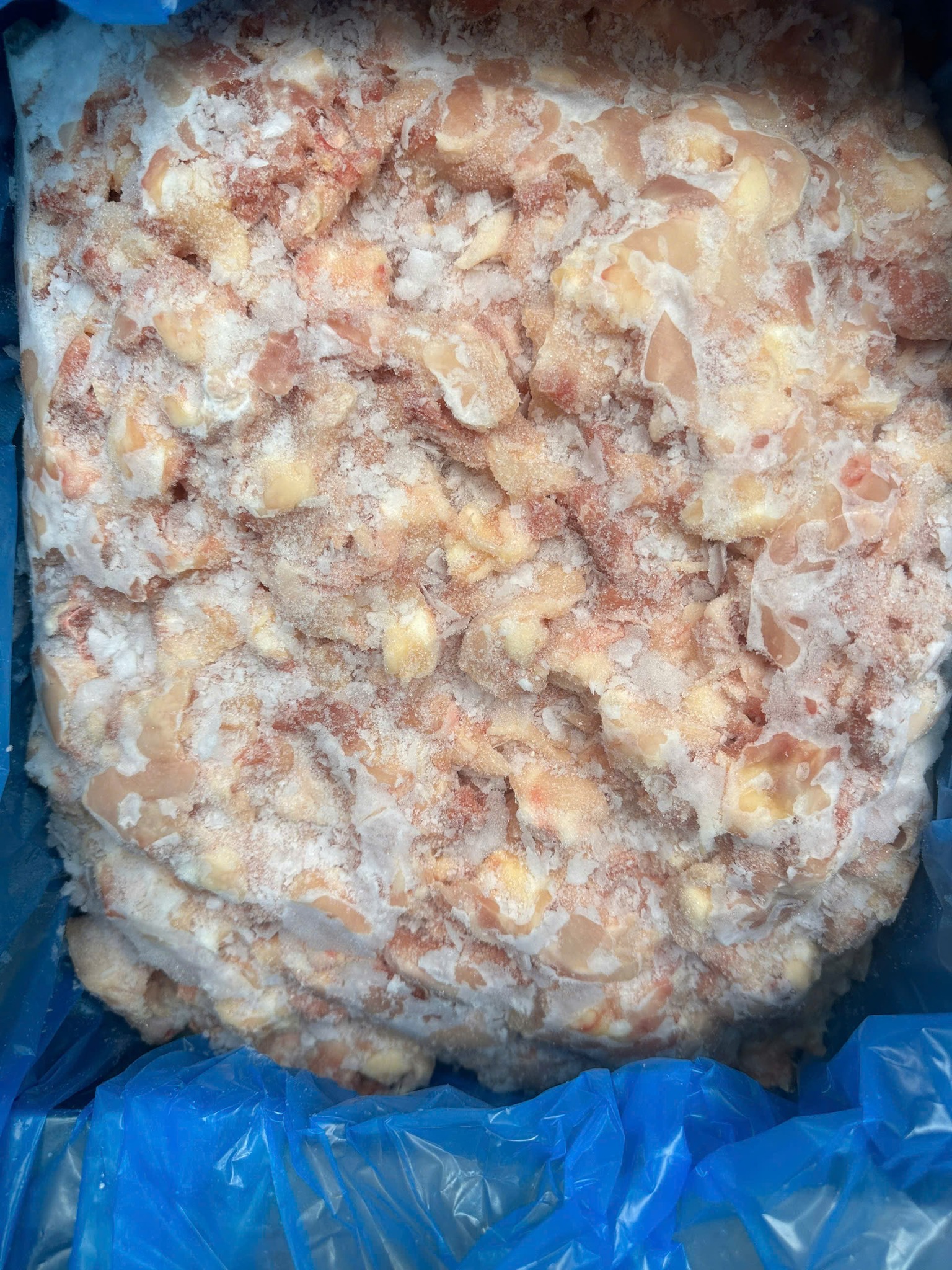 sun goi ga ba lan dong lanh nhap khau