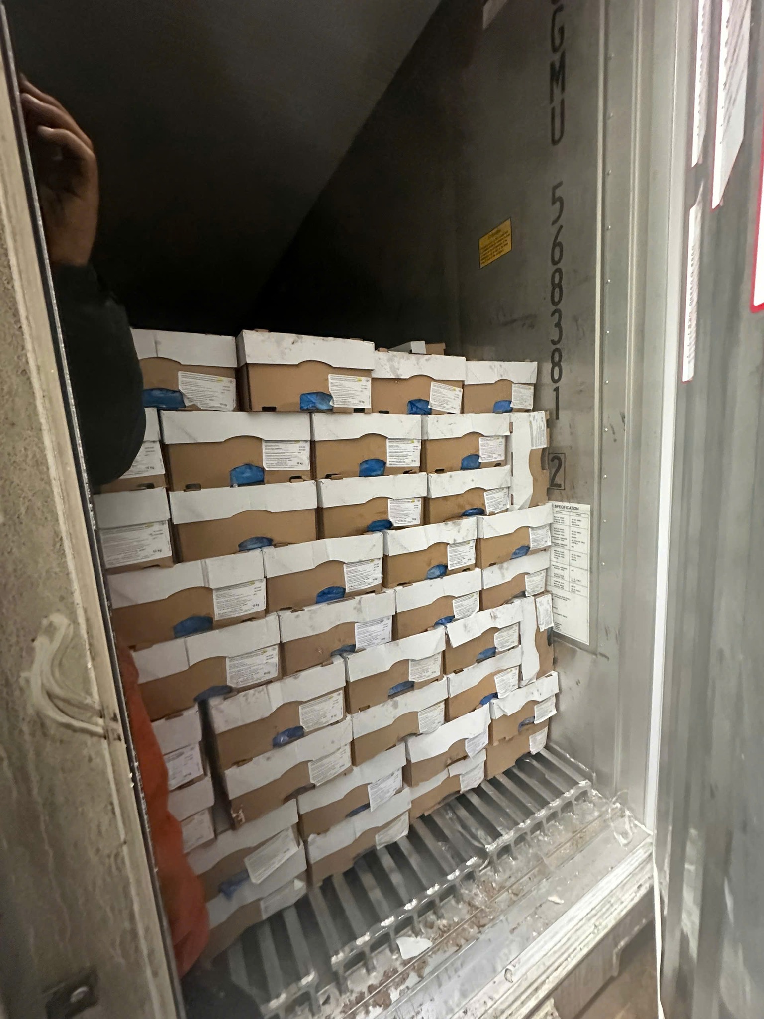 sun goi ga nhap khau dong lanh chat luong cao