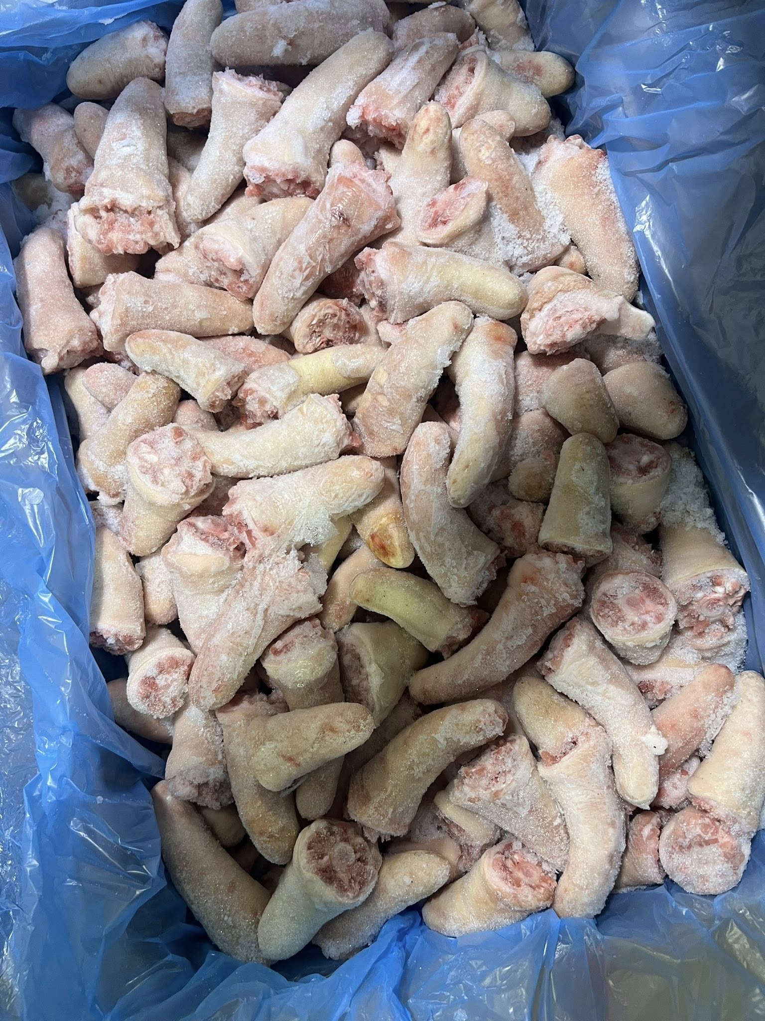 duoi heo rusagro dong lanh nhap khau