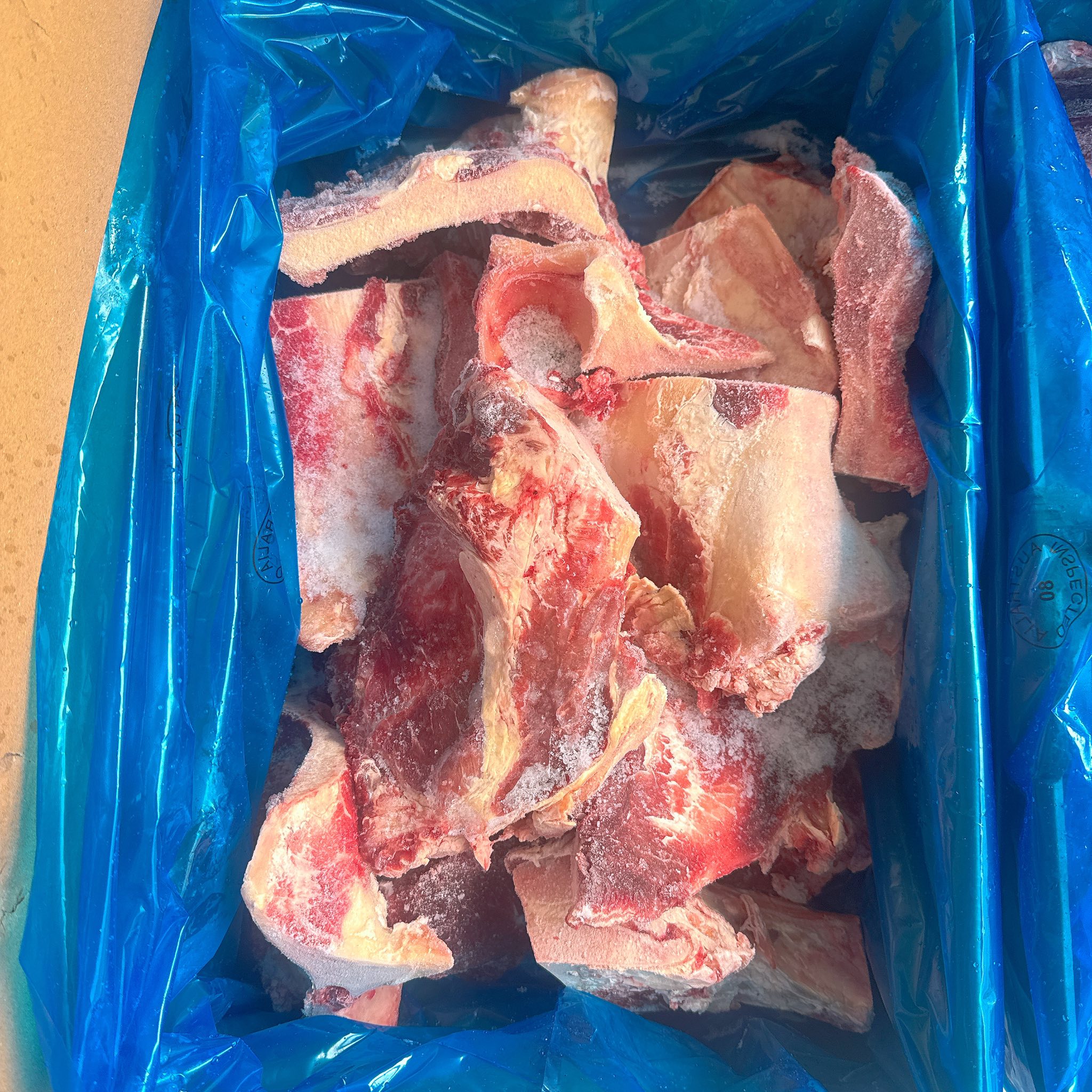 xuong heo ong noland dong lanh gia si