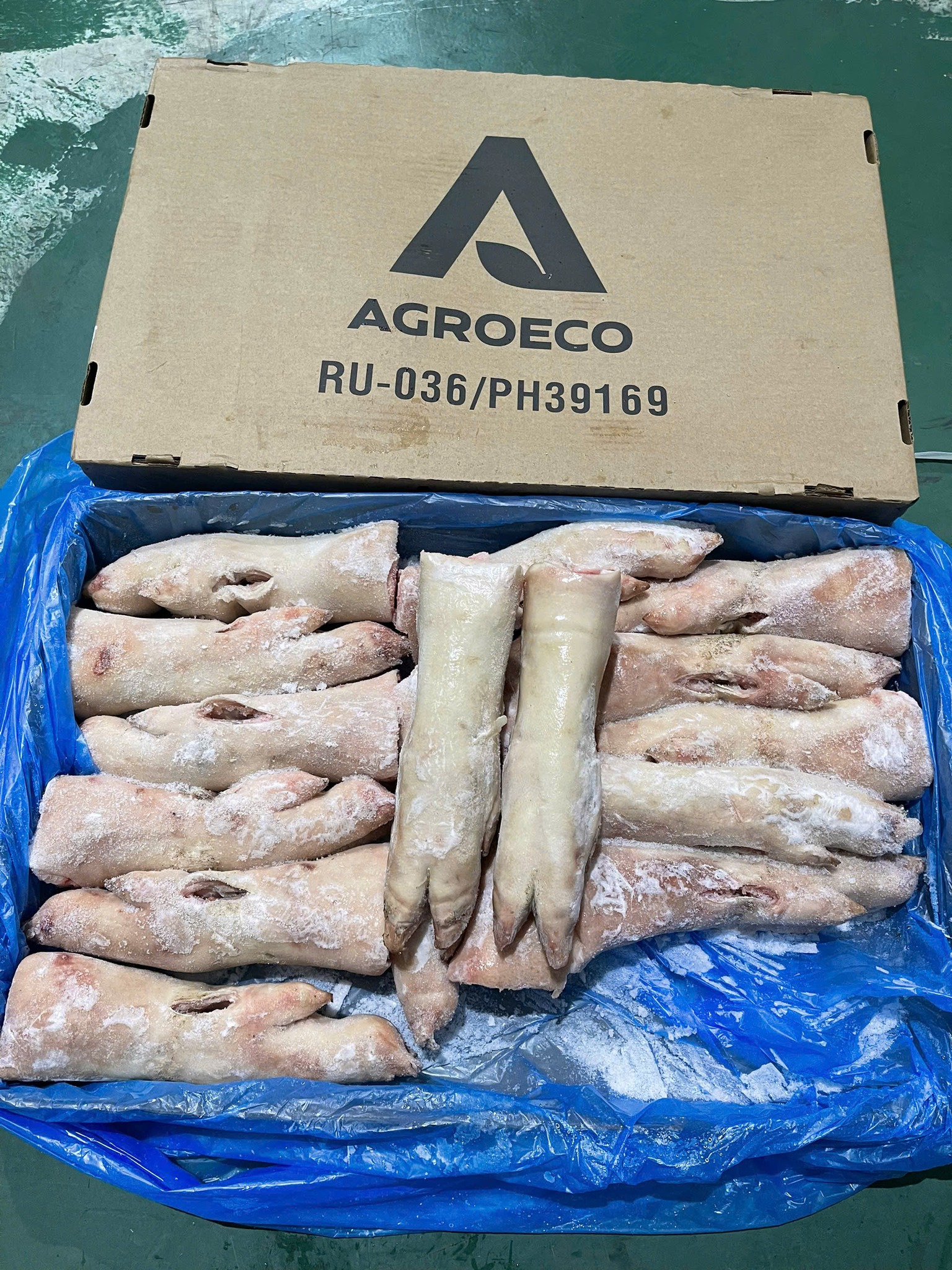 mong sau heo agroeco dong lanh