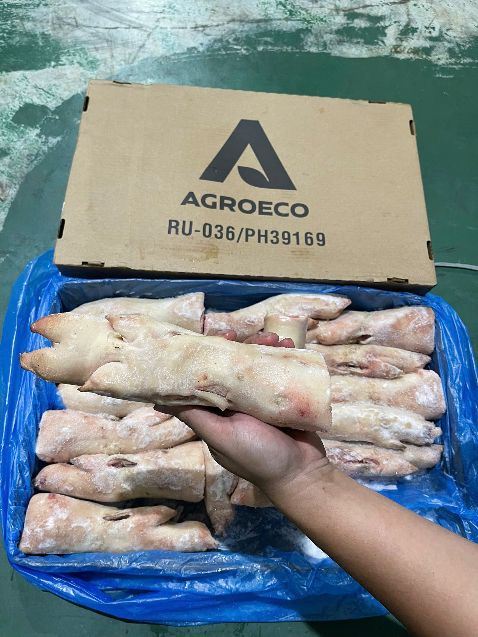 mong heo dong lanh nhap khau