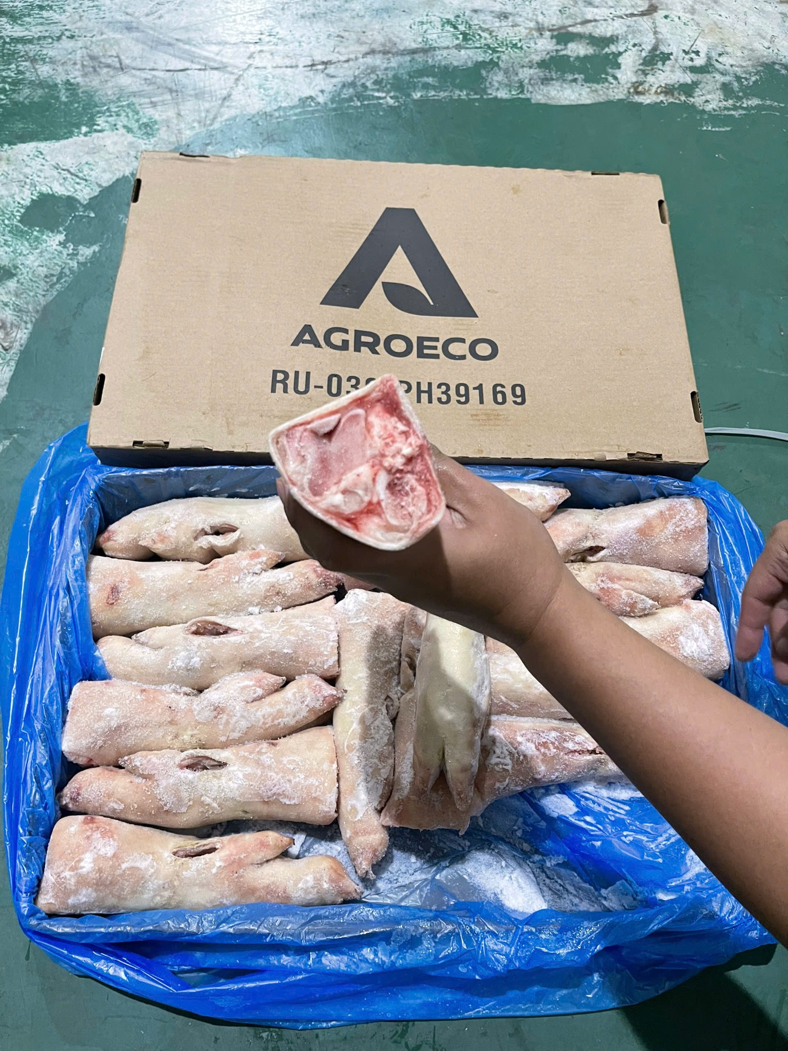 mong sau agroeco gia si