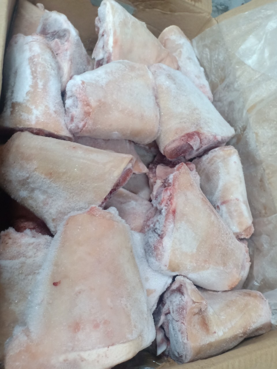 khoanh gio heo vlmk dong lanh