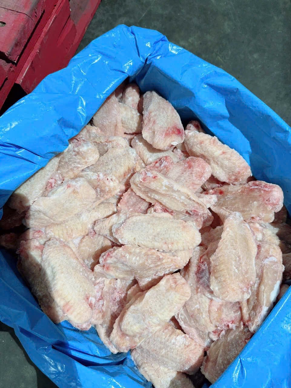 canh giua ga phap size to