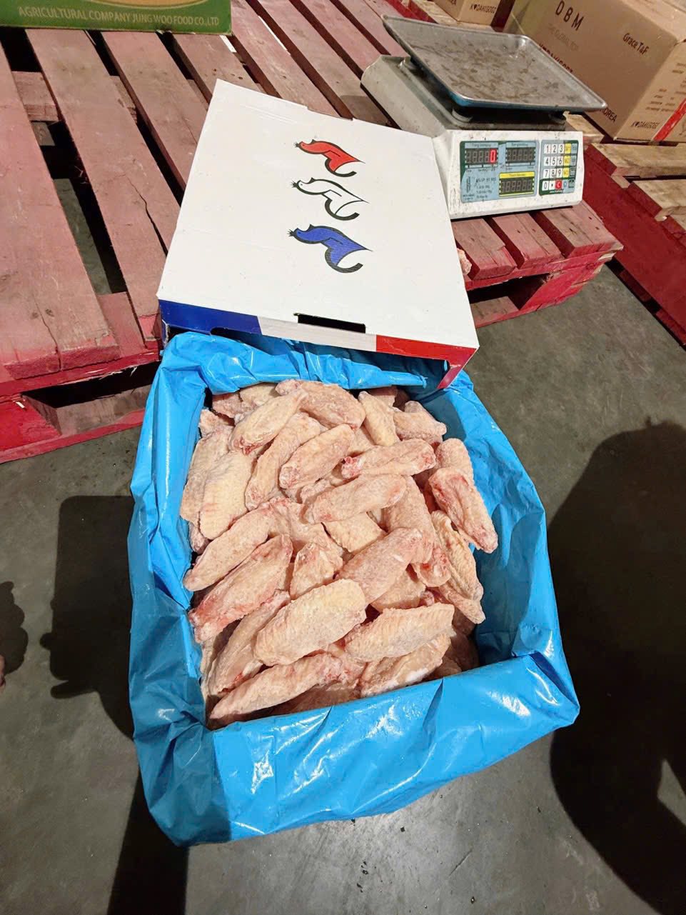 canh giua ga dong lanh