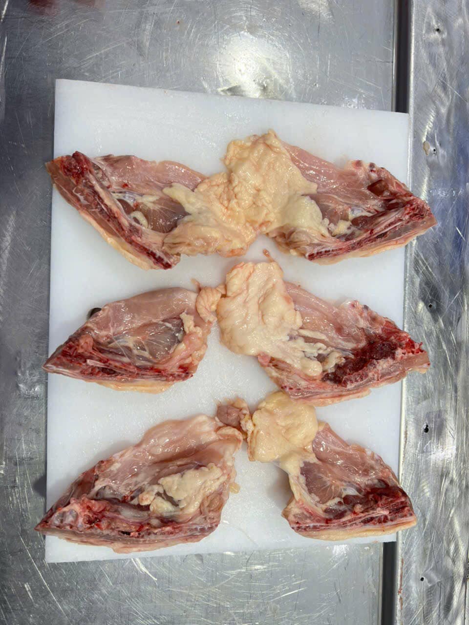 xuong ma uc ga dong lanh