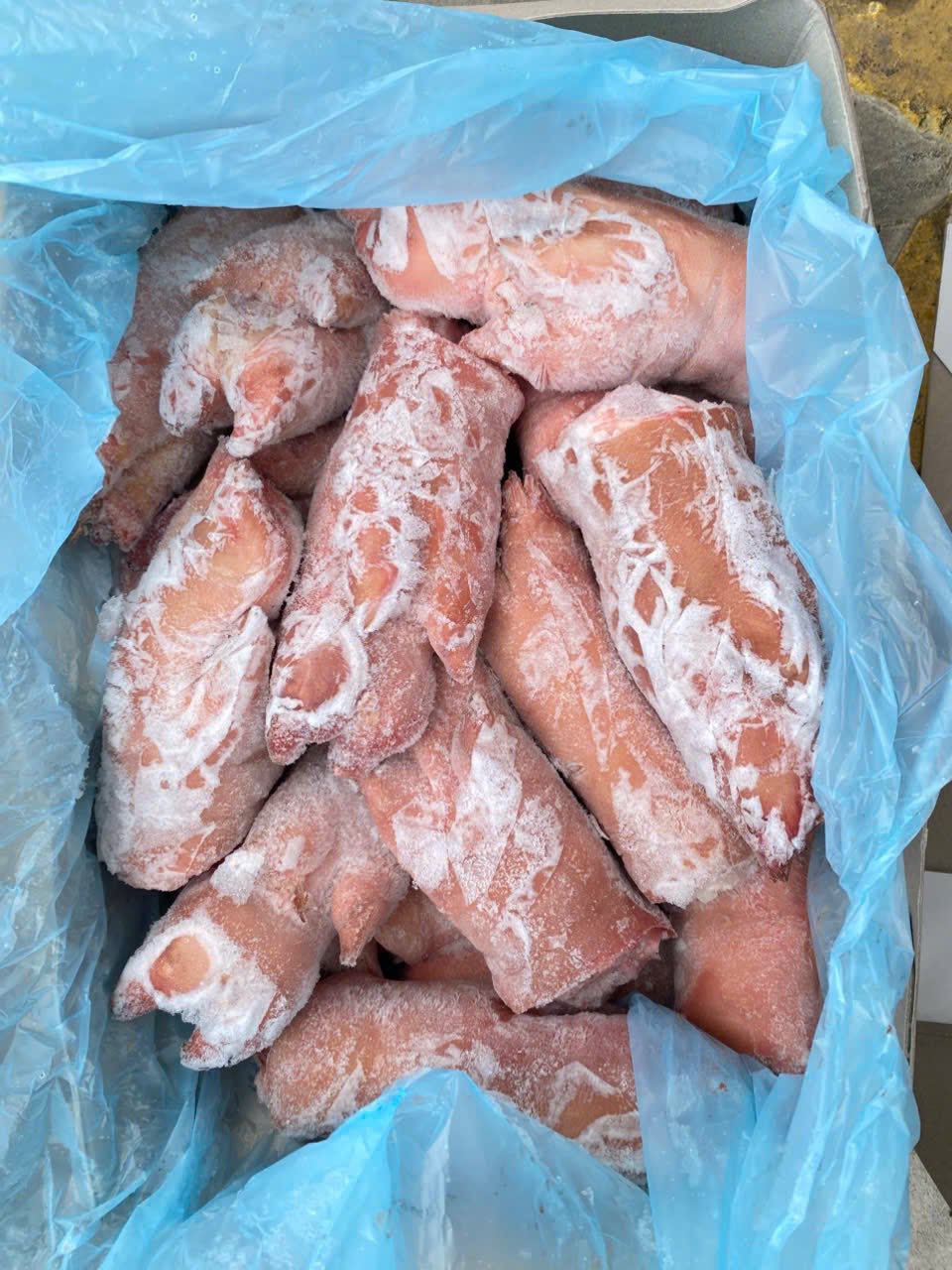 thực phẩm đông lạnh tân định