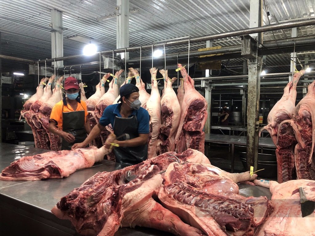 giá thịt heo hôm nay tphcm