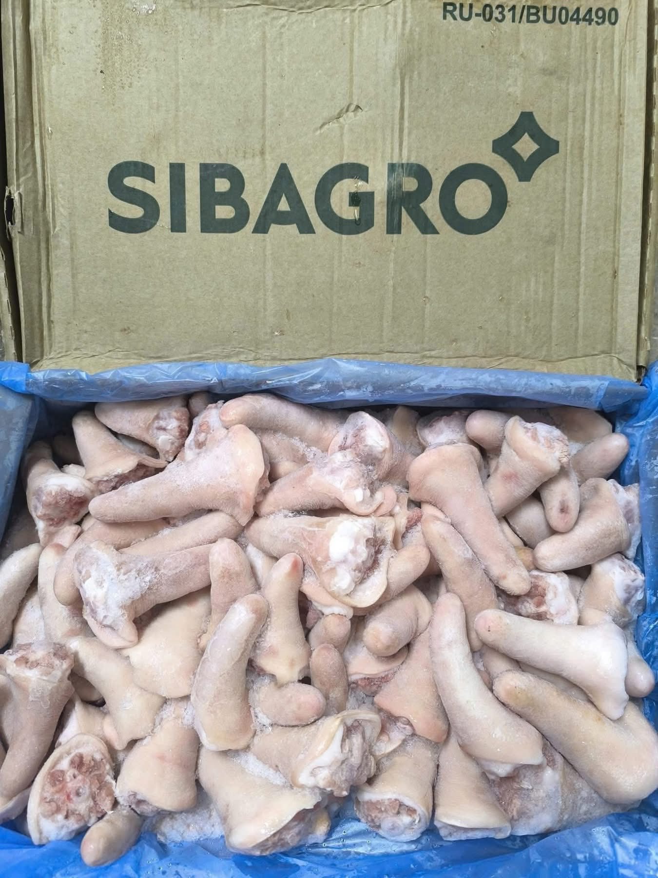 đuôi heo đông lạnh giá sỉ