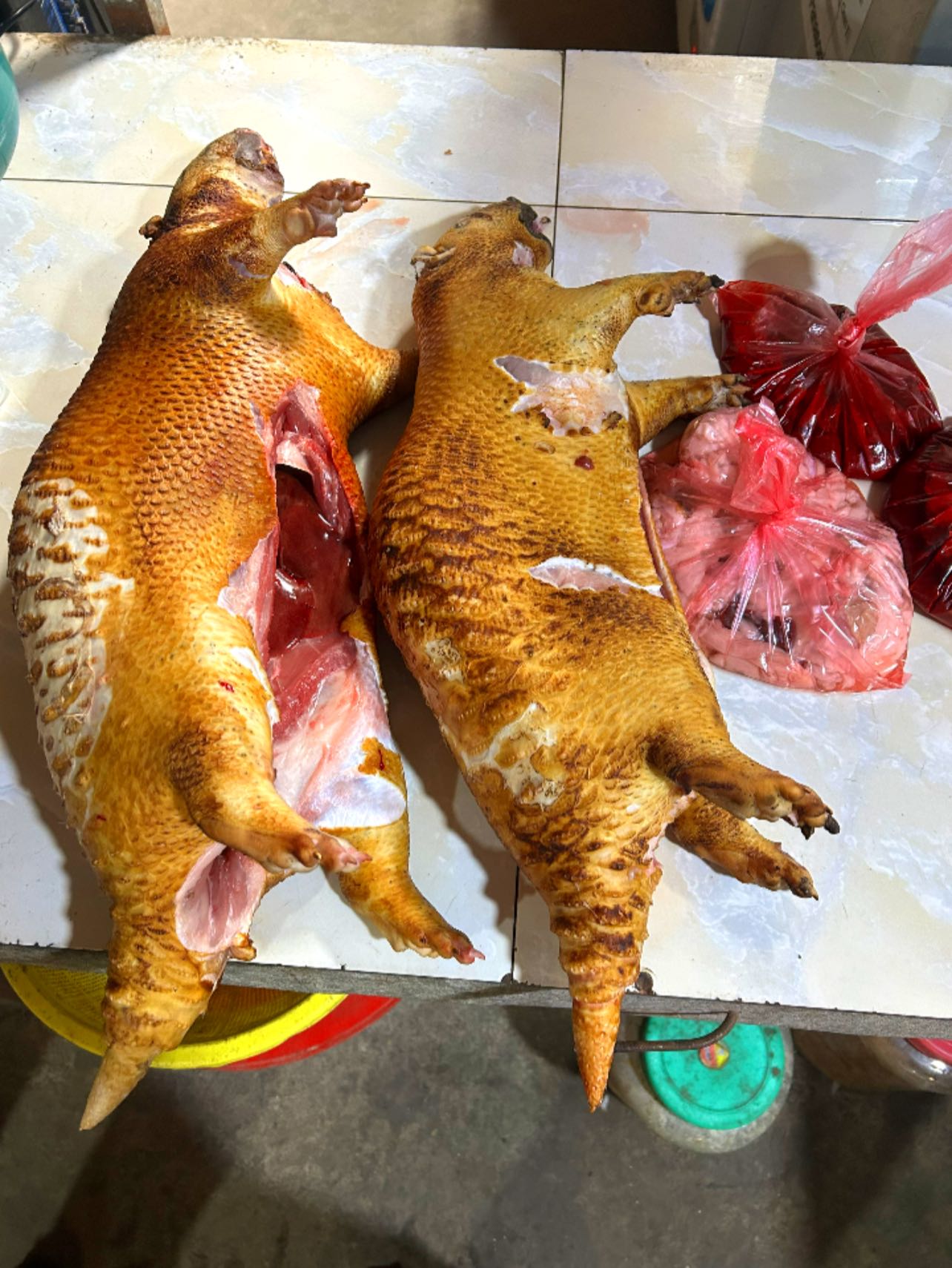 thịt nhím tươi tphcm