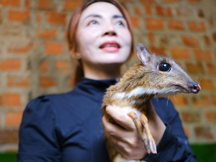 giá thịt cheo cheo hôm nay