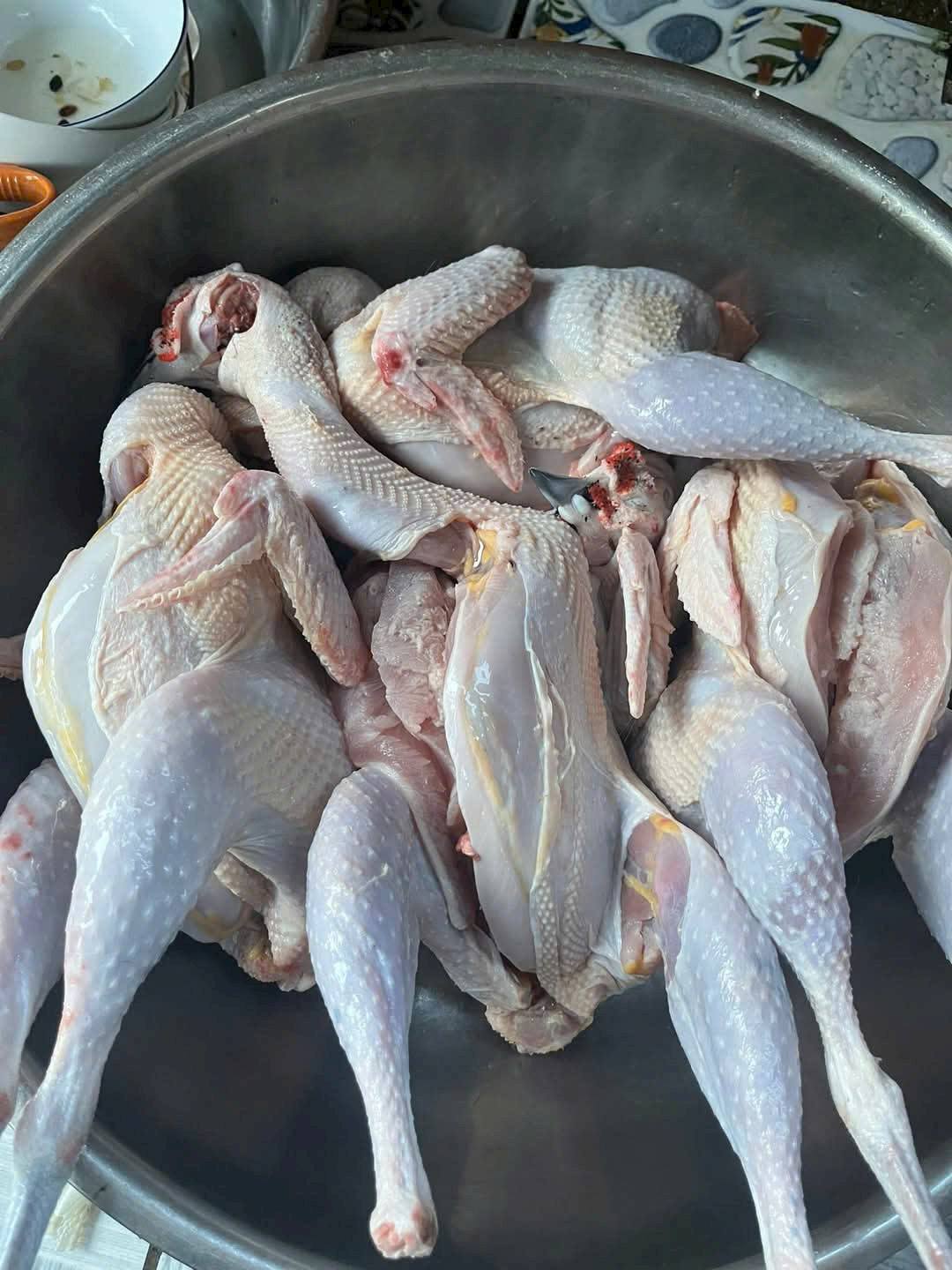 chim trĩ thịt tươi sống