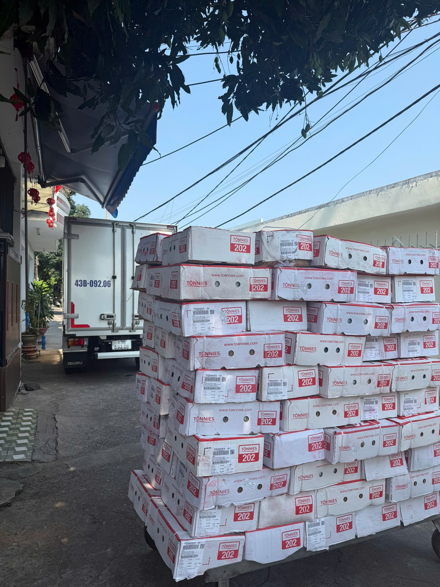 thịt heo đông lạnh giá rẻ quận 7 tphcm