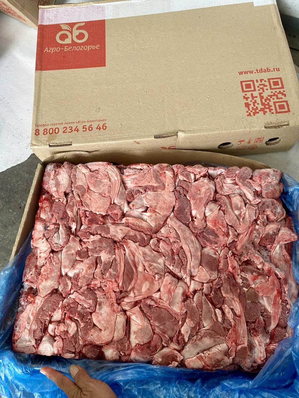 sỉ thịt heo đông lạnh thuận an bình dương