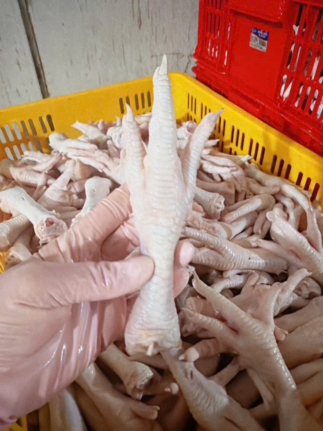 chân gà đông lạnh giá sỉ