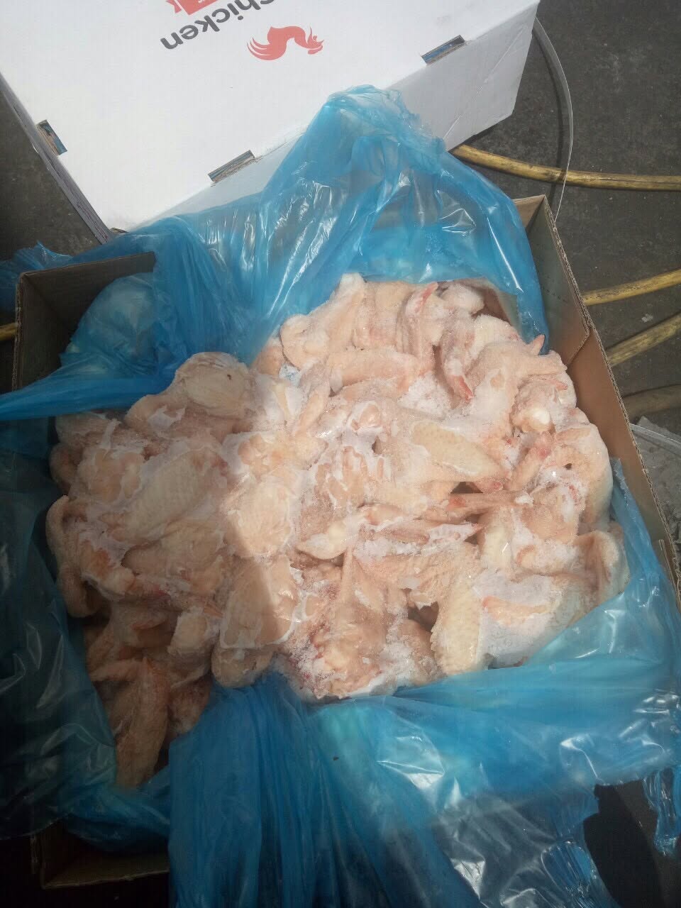Cánh Xá Wipasz Nhập Khẩu