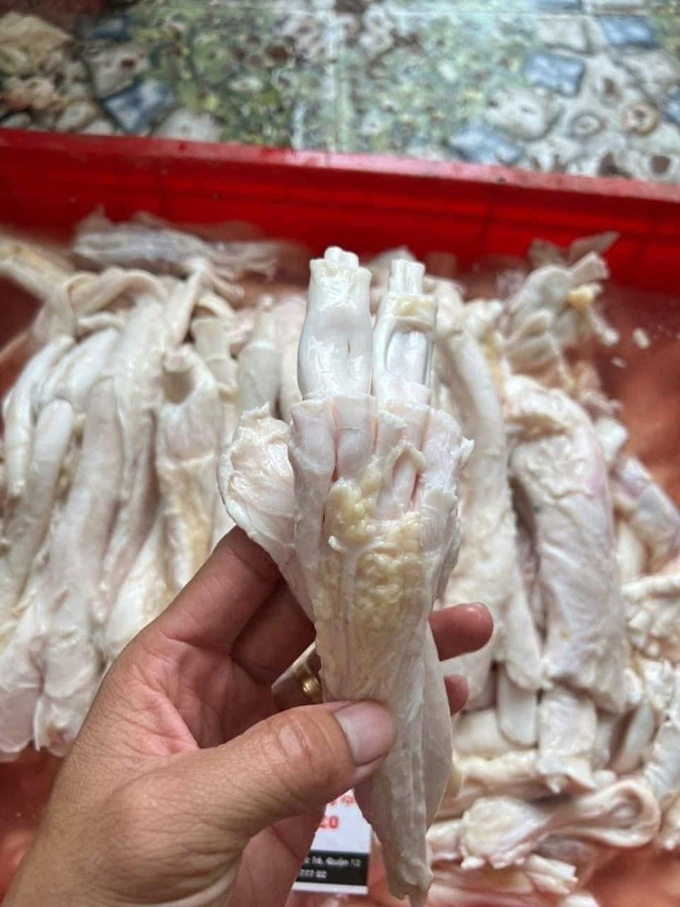Gân Y thùng xanh nhập khẩu