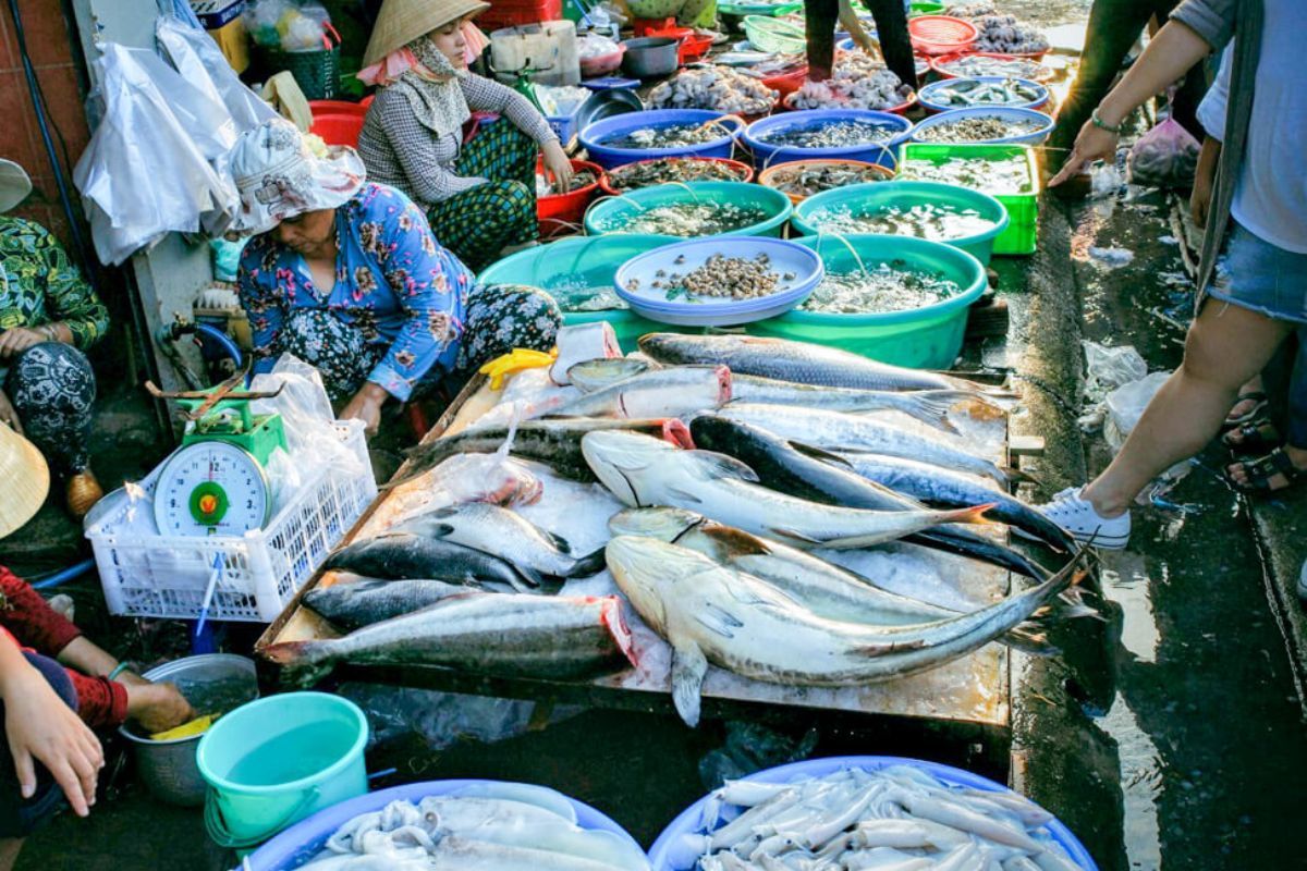 chợ hải sản tphcm tươi sống giá sỉ