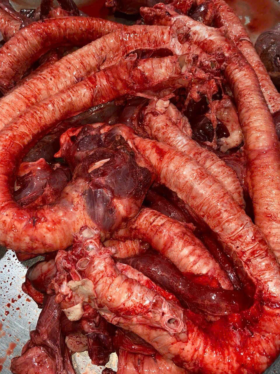 Cuống Họng Bò Tươi