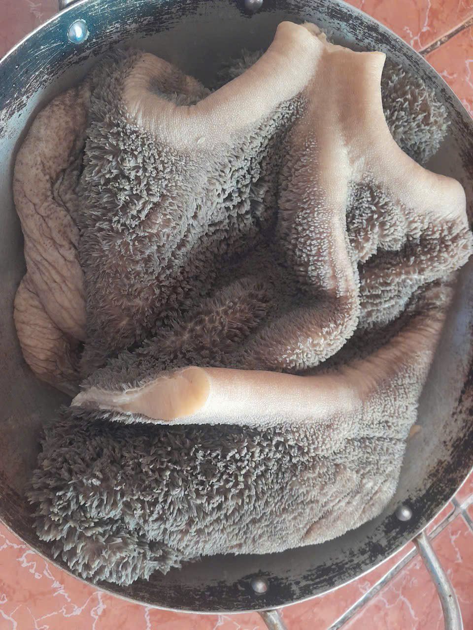 Khăn Lông Đen Bò Tươi