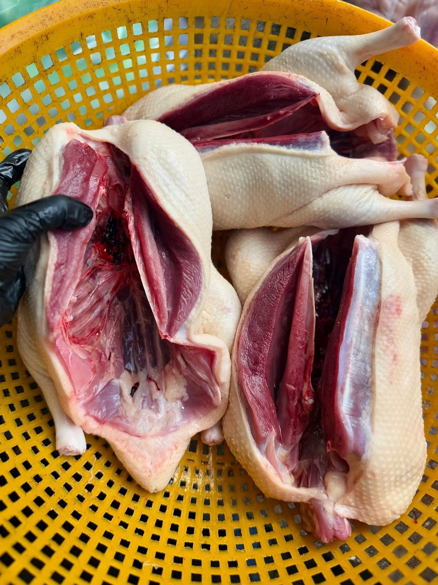 Bọng Vịt Tươi