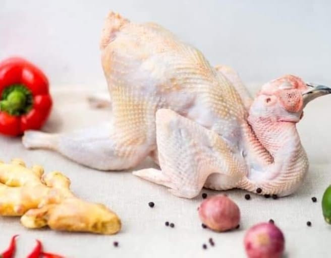 Chim Trĩ Xanh Thịt 0,8–1kg/Con